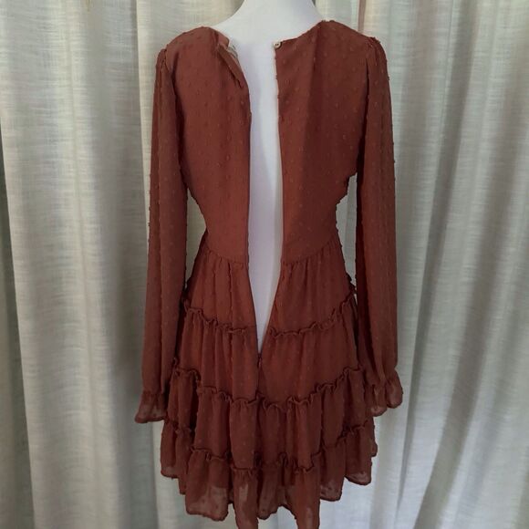 Altard State Dress Womens Small Rose Swiss Dot Cottage Ruffle Zip Up Flowy Gauzy - Picture 3 of 14